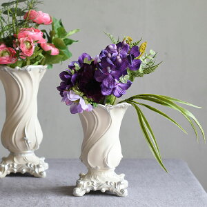 Celestine ZXeB[k 17cmt[x[X820620172yt[x[X Ԋ ԕr AeB[N  zCg z