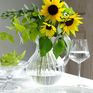 BNgA sb`[ 11301324ySALUS ZCX mH  ĂȂ t[x[X Ԋ ԕr Ԃт ԍ CeAG݁z