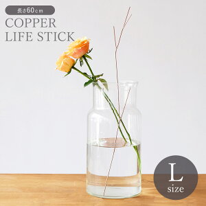 ؂Ԃ𒷂ꂢɕۂƂłE}ꂵ̃t[CtXeBbNLTCYy COPPER Rbp[ t[x[X ԕr Ԋ AeB[N  Vv CeA 