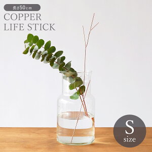 ؂Ԃ𒷂ꂢɕۂƂłE}ꂵ̃t[CtXeBbNSTCYy COPPER Rbp[ t[x[X ԕr Ԋ AeB[N  Vv CeA 