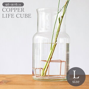 ؂Ԃ𒷂ꂢɕۂƂłẼt[CtL[uLTCYy COPPER Rbp[ t[x[X ԕr Ԋ AeB[N  Vv CeA G fBXv