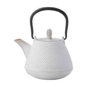 【取り寄せ商品】南部鉄びん NANBU TETSUBIN 急須 ドームアラレ 2色 NT0706【南部鉄びん 鉄瓶 南部鉄器 ティーポット 茶器】