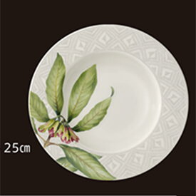 【取り寄せ商品】villeroy&boch MARINDI マリンディ リムプレート 25cm　VB2532ma【花 マリンディ 赤 実 ボタニカル ナチュラル リーフ 食器】