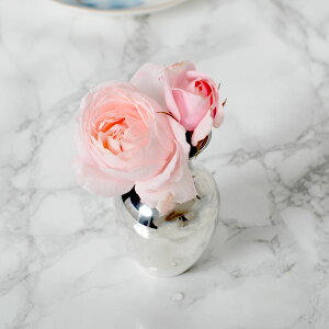 Queen Ann NC[A Vo[t[x[X QA-62023Cyt[x[X ^u[ Vo[G CeA ĂȂ  AeB[N NVJz