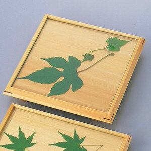 【取り寄せ商品】7寸正角前菜皿(ガラス付) 38486【うどん そば 竹かご 天ぷら とんかつ 懐石 和食器 おもてなし 和食 料亭 割烹 】