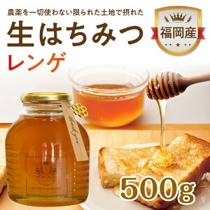 yQI500gze ݂͂ Y n`~c M  VR nj[ Ɖu N H I[KjbN p IWi j  NHi  lC ח\h Y͂