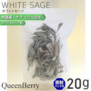 zCgZ[W 򉻗p JtHjAY yzyzCgZ[Wz I[KjbN zCgZ[W20g i` R 򉻃ObY@_ i NX^[^Cvi}t[tj