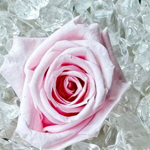 򉻃ObY p[Xg[  AAA 򉻃Zbg 3_Zbg o KN   200g vU[uht[ Y VR XC n[gM ̓ 荠 v[g  ȒP  C