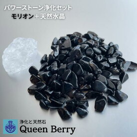 パワーストーン 浄化セット モリオン 黒水晶 天然水晶 さざれ 魔除け 厄除け 天然石 浄化用 QueenBerry