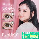 【1箱分無料クーポン】回らない水光 カラコン フランミー FLANMY (1箱10枚入り)( 水光 回らない 軸固定カラコン カラコンフランミー 送料無料 あす楽 ワンデー 度あり 度なし 度入り カラーコンタクト 1日使い捨て 1day ささきのぞみ ふらんみー 人気 )【佐々木希】