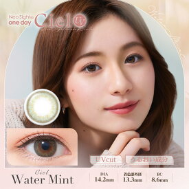 【クーポン利用で20%OFF（2箱ご購入で）】ネオサイトワンデー シエルUV (1箱30枚入り)( あす楽 送料無料 カラコン ワンデー ネオサイト ネオサイトワンデー カラーコンタクト 度あり 度なし カラコンネオサイト ネオサイトシエル )