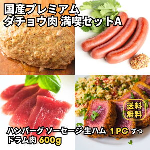 y{HiZbgAzyY _`E h 600g + Y_`E \[Z[W, n, no[O 3 e1pbNZbgz^pN ᎉ O  O 