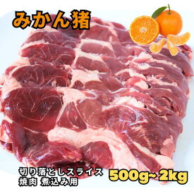注文殺到【国産 こだわり みかん猪 切り落としスライス 500g〜2kg 】猪 イノシシ いのしし 猪肉 イノシシ肉 いのしし肉 肉 ロースト バーベキュー お取り寄せ 高タンパク 焼肉 煮込み ジビエ