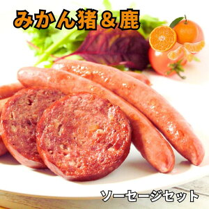 s~VVFtꂽt݂& WrG\[Z[W3Zbg_Iׂe1~5pbN r[Ly[{  CmVV VJ WrG ̂    CmVV