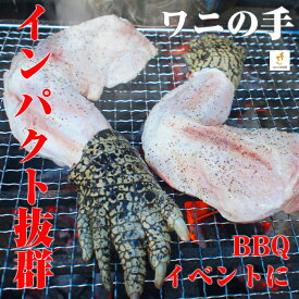 楽天市場 ワニの手 食品 の通販