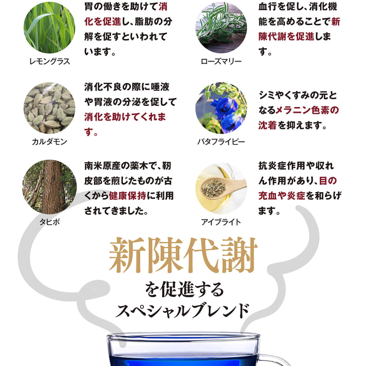楽天市場】【期間限定スーパーSALE20%OFF】バーニングハーブティー 10 