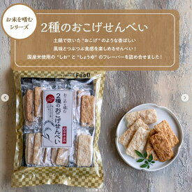 2種のおこげせんべい 18枚（しお・しょうゆ各9枚） ISETAN MITSUKOSHI THE FOOD