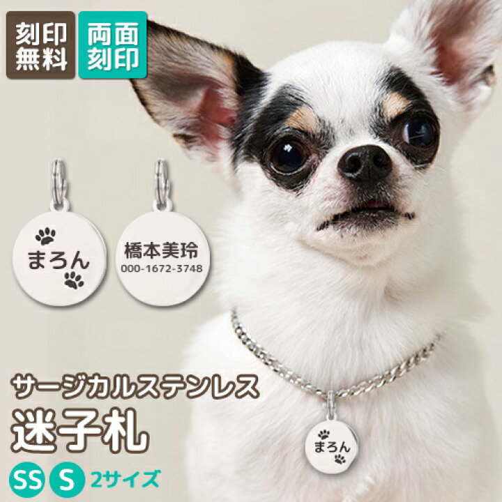 楽天市場 迷子札 2サイズ ペットidタグ 名入れ無料 犬 わんちゃん リング2個付 サークル型 サージカルステンレス ネームタグ 首輪 タグ 名入れ ネーム入れ オリジナル 小 中型犬用 イヌ お名前 電話番号刻印 飼い主 刻印無料サービス 迷子札 名入れ工房 きざみ屋