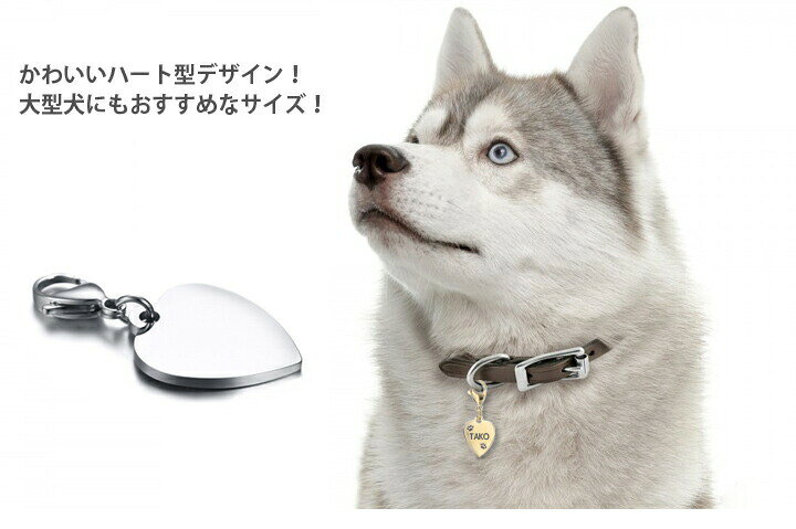 楽天市場】迷子札 ペットIDタグ【名入れ無料】犬 猫 カニカン ハート 