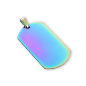 ドッグタグ ネックレス original dogtag 刻印無料 ステンレス デイリー 迷子札 カラー 5color レディース メンズ プレゼント 【名入れ工房】 roryxtyle