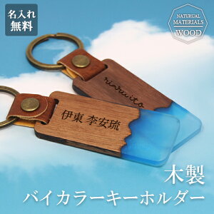 L[z_[ oCJ[ c[gJ[ ؐ L[O    v[g ꖳ l[^O   sObY obOp Mtg ̓ ̓ LOi j 