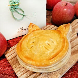 yɂՂpCi4z[E1`2lOjĂăAbvpCzȃP[L ҂v[gv`Mtg QnY100gp L َq lR 킢 LD AbvpClC