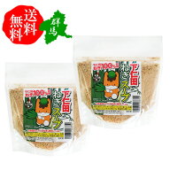 ぐんまちゃん下仁田ねぎスープ 2袋送料無料セット 下仁田ねぎ100％使用 和風しょうゆ味 粉末スープの素 …