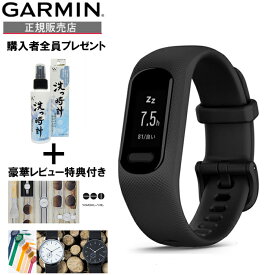 【豪華ノベルティ進呈】正規品 GARMIN ガーミン アクティビティトラッカー vivosmart 5 Black L スマートウォッチ 010-02645-64 送料無料 ラッピング無料