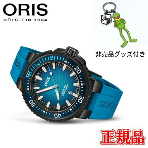 y10%OFF N[|I1118 00:00 `11219:59z yő42񕥂܂ŖzKi ORIS IX AQUIS PRO 1000M  Yrv  01 733 7801 7255-Set