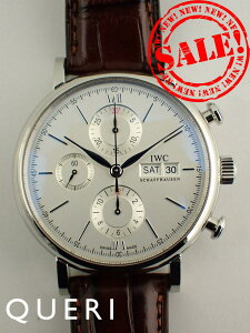 IWC |[gtBm NmOt fCfCg AQ[^[Xgbv IW391027 Vi