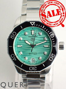 ^OzC[ ANA[T[ vtFbVi300 Lo[5 8P_Ch WBP231K.BA0618 Vi