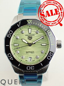 ^OzC[ ANA[T[ vtFbVi300  Lo[5 WBP231L.BA0618 Vi