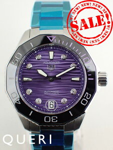 ^OzC[ ANA[T[ vtFVi300  Lo[5 WBP231M.BA0618 Vi