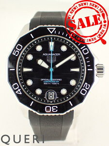 ^OzC[ ANA[T[ vtFbVi300 I[g}`bN Lo[TH31-00 WBP5110.FT6257 Vi