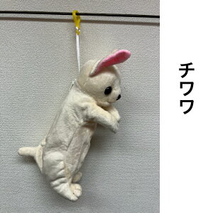 yzʂ yP[Xq  Aj} |[` e Aj}yP[X ʂ 킢 M ʂ wj v[g M M σ|