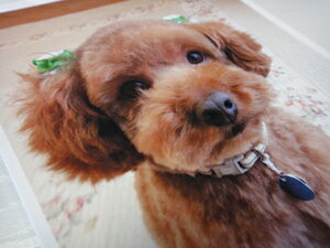 VL[y[p[V[Y@OtBJ}bgA4TCY