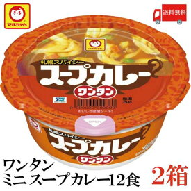 送料無料 マルちゃん スープカレー ワンタン 29g×24食【2箱】（わんたん 雲呑 インスタント）