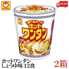 送料無料 マルちゃん ホットワンタン しょうゆ 46g 食べるスープ×24食【2箱】（わんたん 雲呑）
