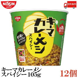 送料無料 日清食品 キーマカレーメシ スパイシー 105g×2箱 【12個】