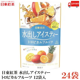 送料無料 日東紅茶 水出しアイスティー トロピカルフルーツ ティーバッグ 12袋入×24袋