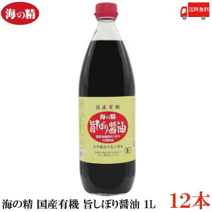  C̐ YL@ |ڂݖ 1L×12{