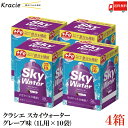 送料無料 クラシエ スカイウォーター グレープ味 （1L用×10袋）×4箱【Sky water 鉄分補給 スポーツドリンクパウダー】