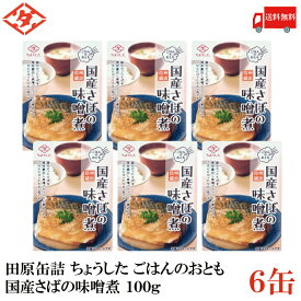 送料無料 田原缶詰 ちょうした ごはんのおとも 国産さばの味噌煮 100g×6缶 (信州蔵出し味噌)