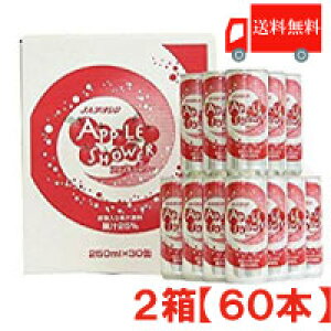  AI AbvV[ 250ml ×2y60{zyJAAI/񂲃W[X/SW[X/Y_z