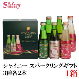 シャイニー　スパークリングアップル 詰合せ 3種×各2本 SP-B (青森県産りんごジュース ギフト)