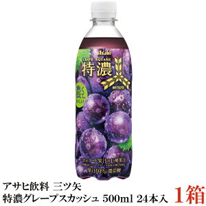 ATq Oc ZO[vXJbV PET 500ml ×24{y1z