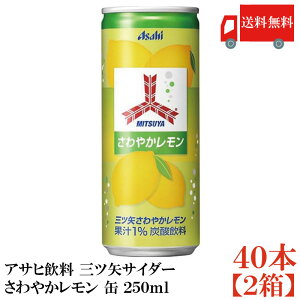  ATq OcTC_[ ₩ 250ml ×2i40{jyAsahiz