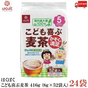  ͂΂ ǂԔ 416g (8g×52ܓ) ×24