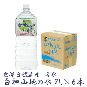 _R _Rn̐ 2L×6{i1j@ydx0.2mg/L  VR Mz