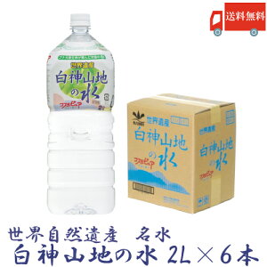  _R _Rn̐ 2L×6{i1j@ydx0.2mg/L  VR Mz